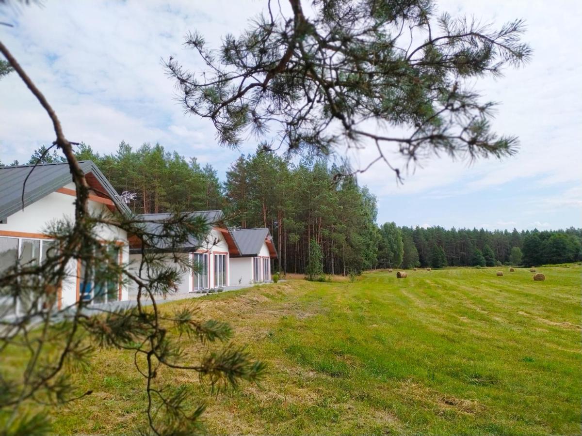 Zurawia Polana Villa Swietajno  Dış mekan fotoğraf