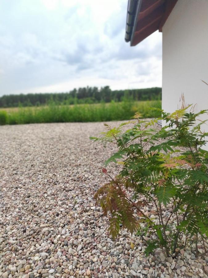 Zurawia Polana Villa Swietajno  Dış mekan fotoğraf